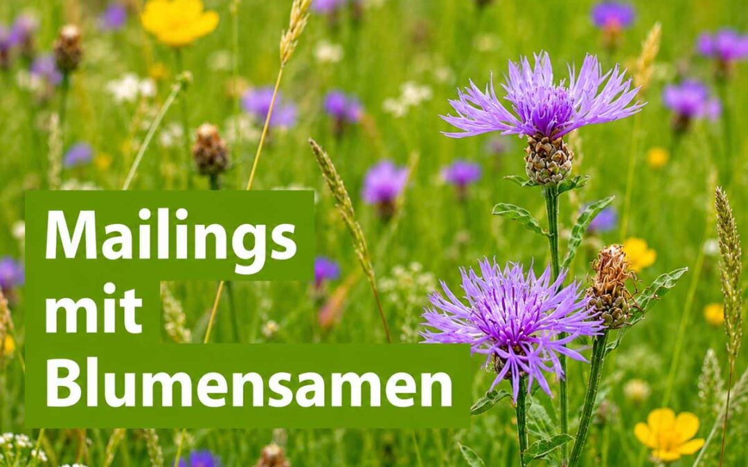 Mailing mit Blumensamen