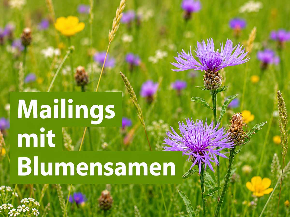 Mailings mit Samentütchen und Blumensamen