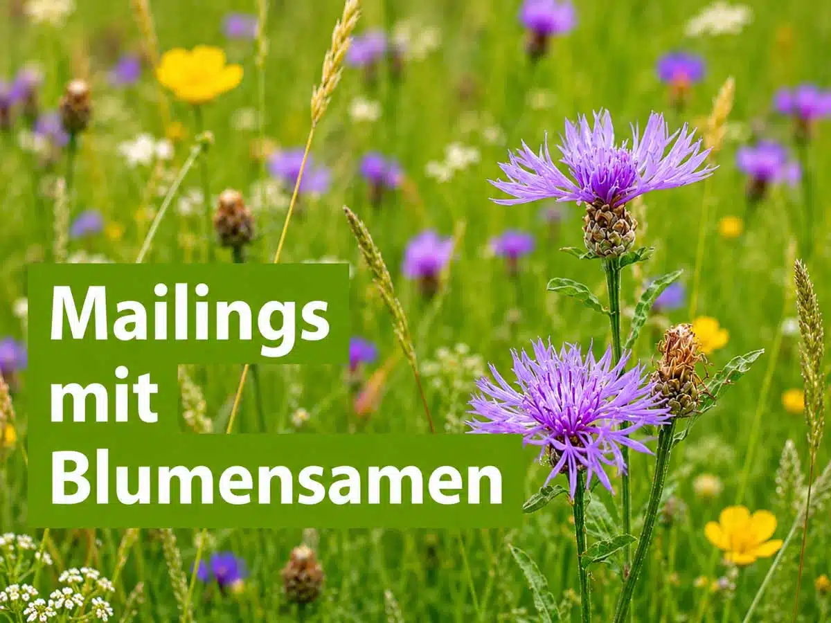 Mailings mit Samentütchen und Blumensamen